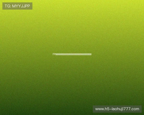 PP模拟器常见问题解决方案大全，帮助玩家排除使用中的各种技术难题